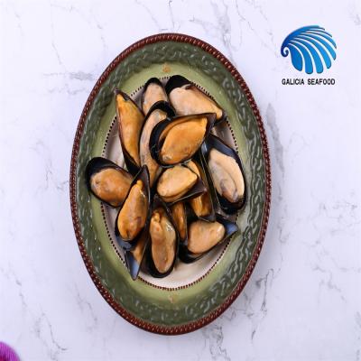 China FROZEN Half-SHELL Frozen Mussels with Superior Quality for sale