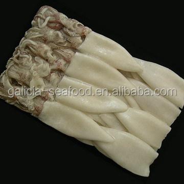 China FROZEN Squid T+T from Loligo for sale