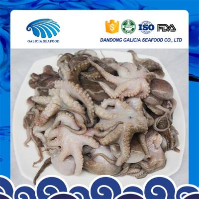 China IQF BQF baby octopus flower or block jelly with ample supply 16-25 for sale