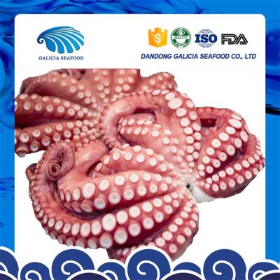 China large fresh frozen octopus from regular manufacturer 0.5-1 for sale