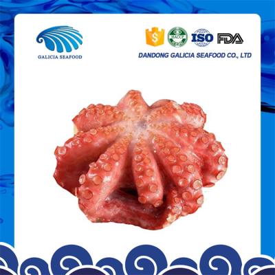 China fresh frozen octopus vulgaris in ball shape from top producer 0.5-1 for sale