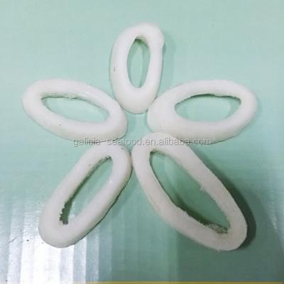 China Low-CARB Frozen Squid Rings With HACCP Certification for sale