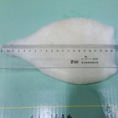 China Low-CARB Frozen Clear Squid Tubes Directly Offered by the Manufacturer for sale