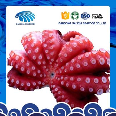 China fresh frozen octopus with 0.5-1 quality for sale