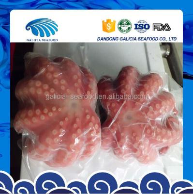 China Frozen octopus in ball shape 0.5-1 for sale