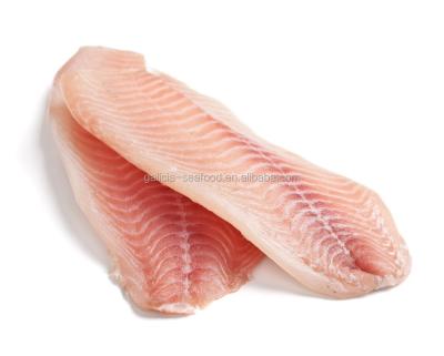 China FROZEN Frozen Tilapia Fillets for sale