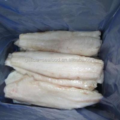 China FROZEN FILLET OF MSC IQF HOKI for sale