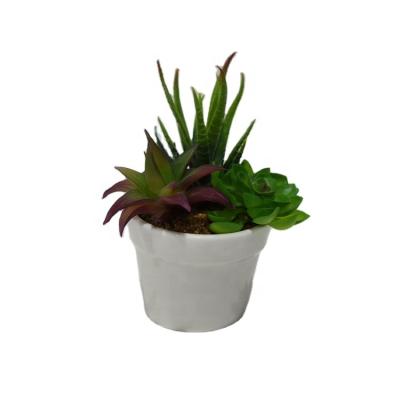 China Modern Planter Cactus Pot Home Office Decoration Flower Pot Ceramic Succulent Pot for sale