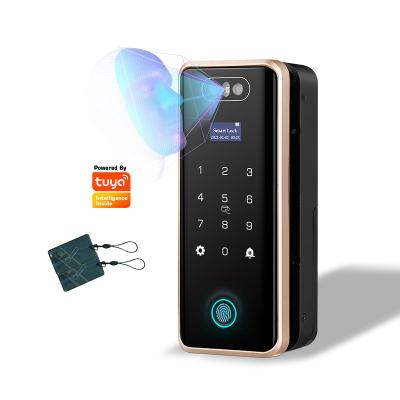 China Frameless Glass Door Fingerprint 100 Card+Password 250 Senleean Senleean Face 50/50 Tuya Smart Card Lock Smart Card Lock Face Recognition Door Frameless Glass Fingerprint for sale