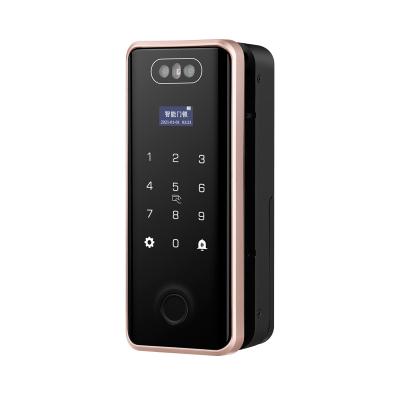 China Tuya Aluminum Alloy+ABS 3D Technology IR Optics Face Recognition Aluminum Smart ID Fingerprint Palm Print Password Glass Door Lock for sale