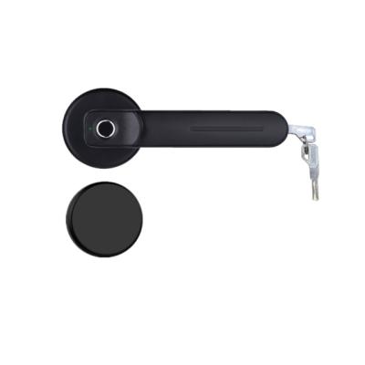 China Electronic Fingerprint Zinc Alloy Smart Home Furniture Cheap Home Furniture Panel Door Handle Biometric Door Lock for sale