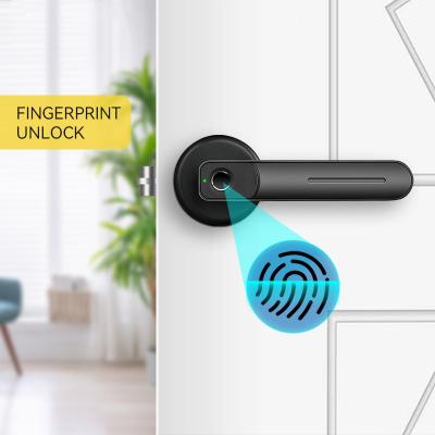 China Zinc Alloy Cheap Home Furniture Panel Door Handle Smart Password Biometric Electronic Fingerprint Door Lock for sale