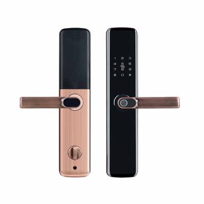 China The stainless door etc. Front Door Fingerprint Smart Lock Rfid Outdoor Home Main Door Lock For Aluminum Wood Door for sale