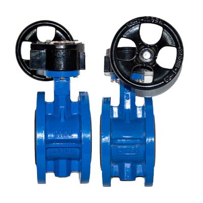 China General CLASS150 Flange Connection API Stainless Steel Anti Rust Butterfly Valves With Double Flange for sale