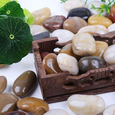 China 2-4cm Polished Stones Aquariums Vases And Mini Greenhouses River Rock Pebbles For Decoration for sale