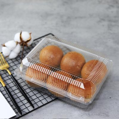 China Factory Outlet Disposable Fruit And Plastic Disposable Transparent Cake Clear Custom Cake for sale