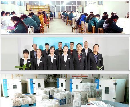 Проверенный китайский поставщик - Shijiazhuang Wanlixin Industrial and Trade Co., Ltd