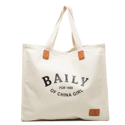 China Recyclable Canvas Bag Fashion Ladies Shoulder Bags Casual Shopping Tote Bag for sale