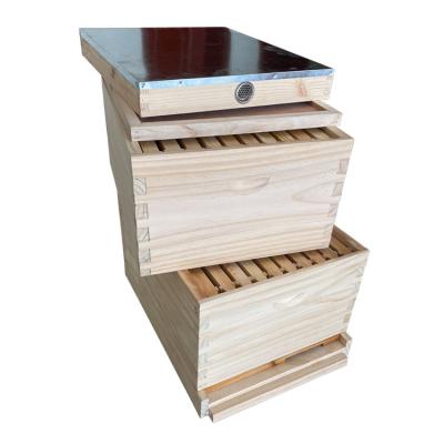 China Agriculture / Aquaculture Best Price Wooden Bee Masses Australian Hive For Beekeepers With Boxes 2 Layers Beehive Box Beekeeping For Sale for sale