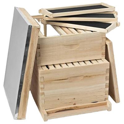 China Bee Farm 2 Layer Langstroth Wooden Beehive Other Animal Husbandry Equipment Bee Hive Beekeeping Equipment for sale