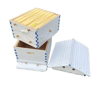 China Long Life Australian Honey Bee Box Automatic Hive For Sale Automatic Wooden Bee Hive for sale