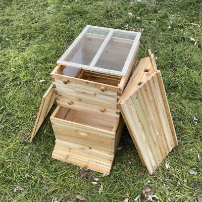 China Cultivate wooden hive for beeskeeping automatic beehive artesian hive for bees for sale