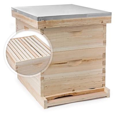 China New Bee Farm Beekeeping Beehive Wooden Langstroth Bee Hive Wooden Beehive for sale