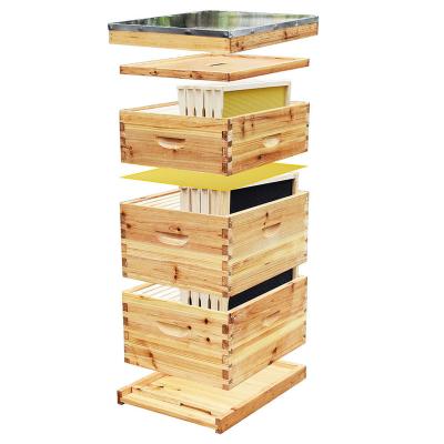 China Bee Farm A Beginner's Suit For Novice Beekeepers Hives And Pine Bee Wood Frame for sale