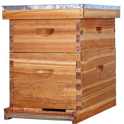 China Complete 10-Frames Bee Farm Hive Kit for sale