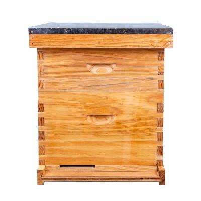 China Bee Farm Bee And Bee Box Low Price Bee Hive Deep Box Langstroth Super Wooden Box Hives for sale