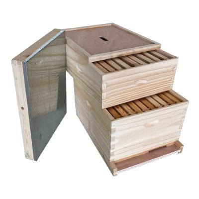 China 2021 new agriculture/aquaculture bee hives wooden beehive for langstroth hive products best beeskeeping price for sale