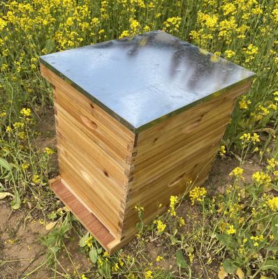 China Agriculture / Aquaculture Beehive Products Wax Dipped Hive Beehives Langstroth Fir Pine 10 Wooden Frame With Two Deep Boxes for sale