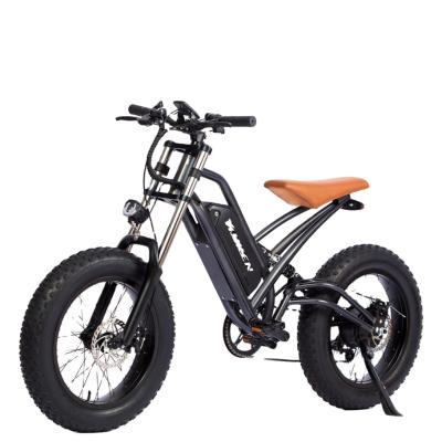 China Custom fat tire steel motorcycles 750W electric bicycle 48V battery ebike 20 inch city e bike electric bicycle for sale