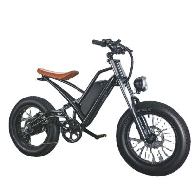 China Free Sample 48V 750W Mountain Bike Dirt Steel Bike Moped 20 Inch Fat Tire Electric Bike E-Bike for sale