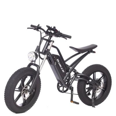 China Steel 750W electric bike EEC version for golf electric mountain bike other motorcycles e electric bicycle for sale