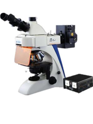 China Inverted Optical Upright Fluorescence Microscope 1000X With Multi Color Filter for sale