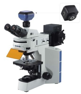 China Phase Contrast Inverted Fluorescence Microscope Built In Transmitted Koehler Illumination for sale