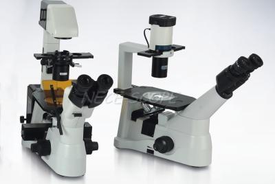 China Biological Laser Scanning Fluorescence Microscopy With OSRAM 100W DC Mercury Lamp for sale