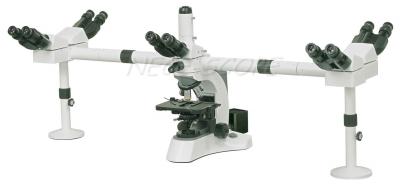 Chine Microscope multi binoculaire de visionnement EW10×/20 avec la lampe d'halogène à vendre