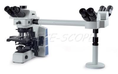 China Fluorescent Light Multi View Microscope Double Layered DIS With 187mm X166mm Stage for sale