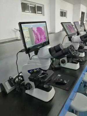 Chine 11,6 » caméras NC-WT1160 de microscope de Tablette de SystemTouchscreen de l'opération Windows10 à vendre