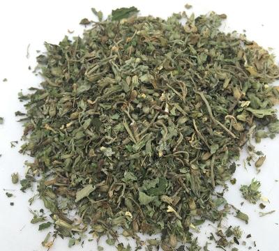 China Sustainable Brand New Organic Catnip Leaves White Flower Cat Mint Dried Bulk Catnip Natural Fresh Wholesale for sale