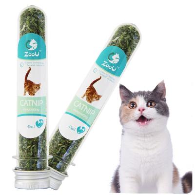 China New Arrival Stocked In Cat Mint New Harvest Catnip Powder Stabilization Annealing Healthy Wholesale Catnip for sale