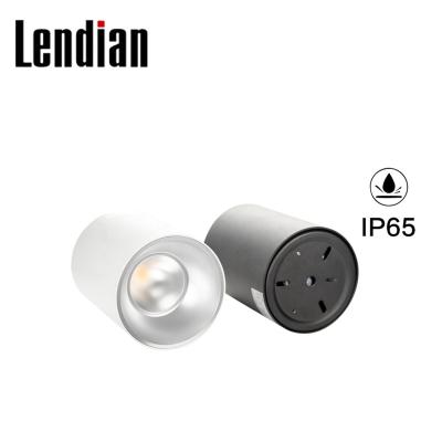 China Modern high c.p. anti-glare black white dimmable square cob round ceiling mount exterior cylinder spot led ceiling lighting ip65 for sale