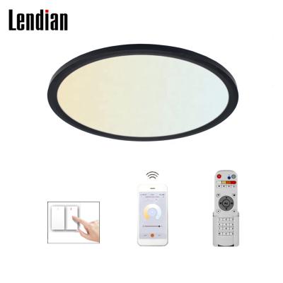 China Smart control Smart home lights tuya wifi tdc flush mount adjustable suface ultra-thin dimming dob led ceiling lights for living room for sale