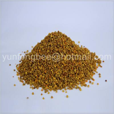 China Human Consumption Pure Mixed Rape Bee Pollen Fresh Mixed bulk natural bee powder pollen for sale