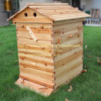 China China Manufactory Langstroth Beehive Honey Self-automatic Hive Frames Supplier for sale