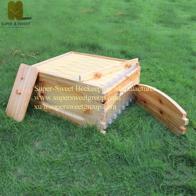 China Flowing Honey Hive Frames (7pieces) Plastic Out Flow Bee Hive Frames with Bee Box for sale