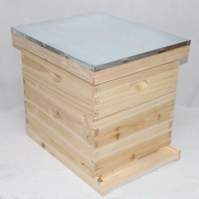 China 10 frame 8 frame bee hive beehive langstroth high quality fire/pine wooden for sale