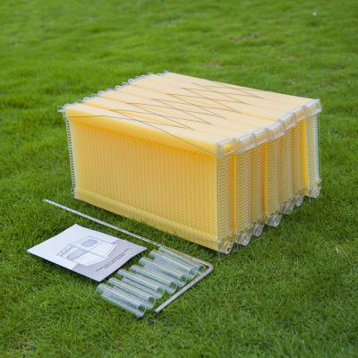 China Langstroth Auto flow honey plastic bee hive frame for flow hive for sale